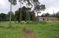 Nobel and Brick Barns, Remenham Hill, Berks